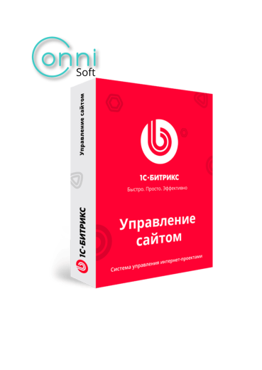 "Бизнес" + Установка и настройка